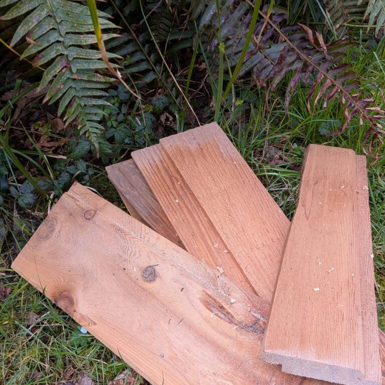 PXL_20260318_223110970 Cropped (1)